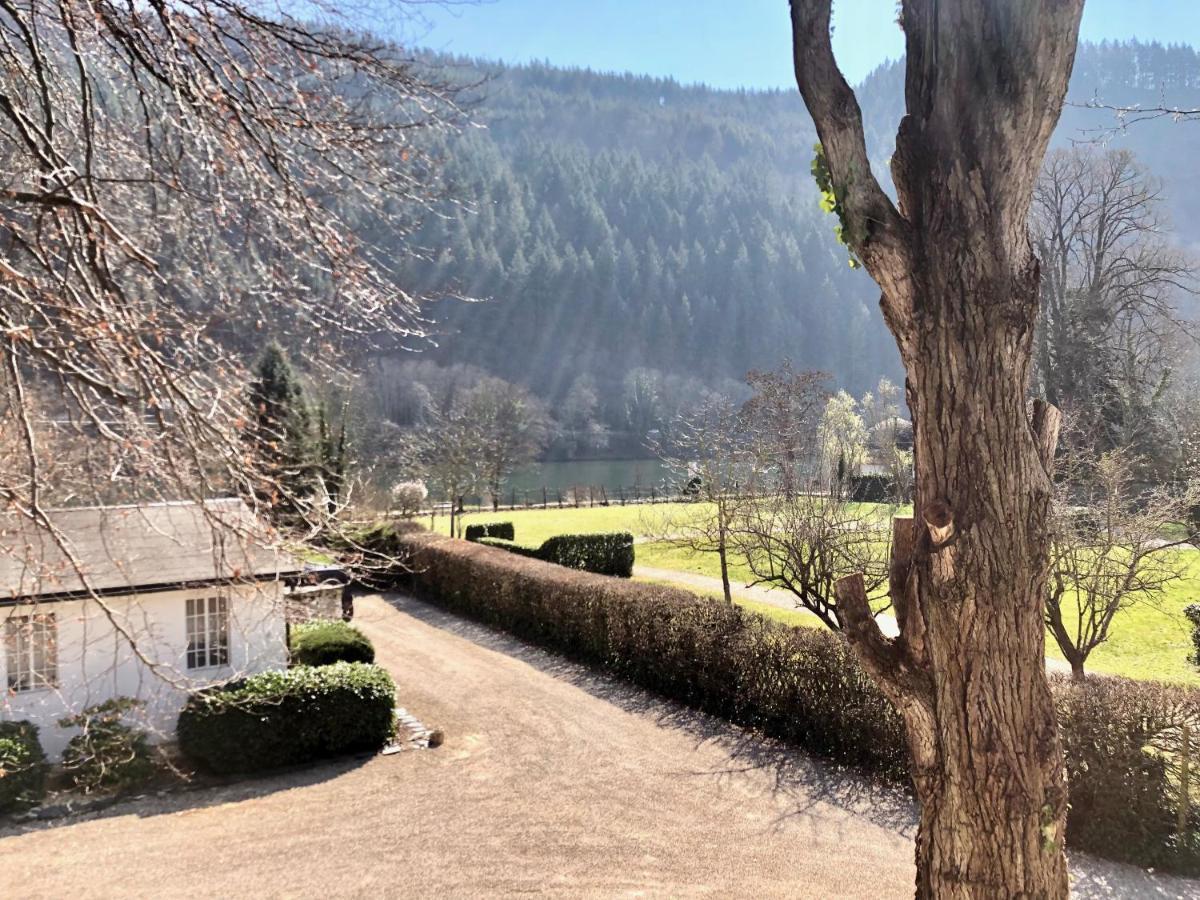 Ferienwohnung Weingut Villa Huesgen Am Moenchhof Трабен-Трарбах Екстериор снимка